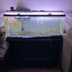 50 Gallon Fish Tank + Stand