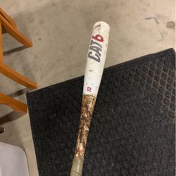 cat 6 bat