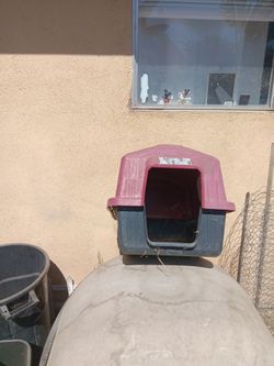 Small Plastic Dog House