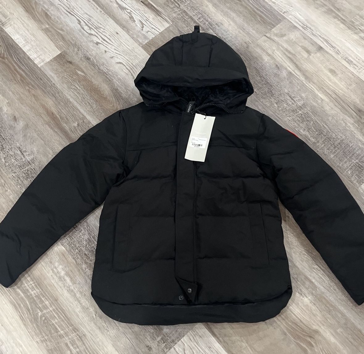 Canada goose