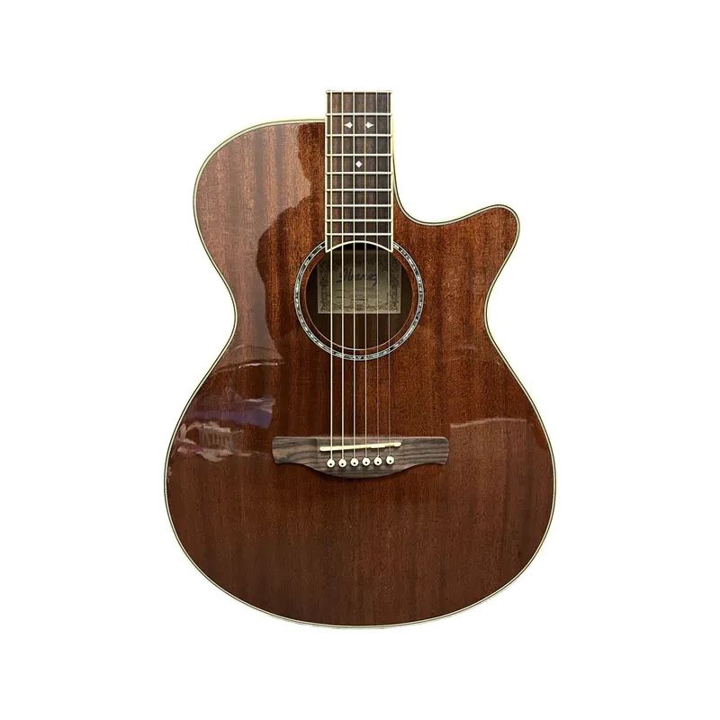 Guitar Ibanez Acoustic/Electric AEG12II-NMH