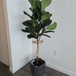 Silk Fiddle Leaf Fig Plant Plus Ceramic Pot