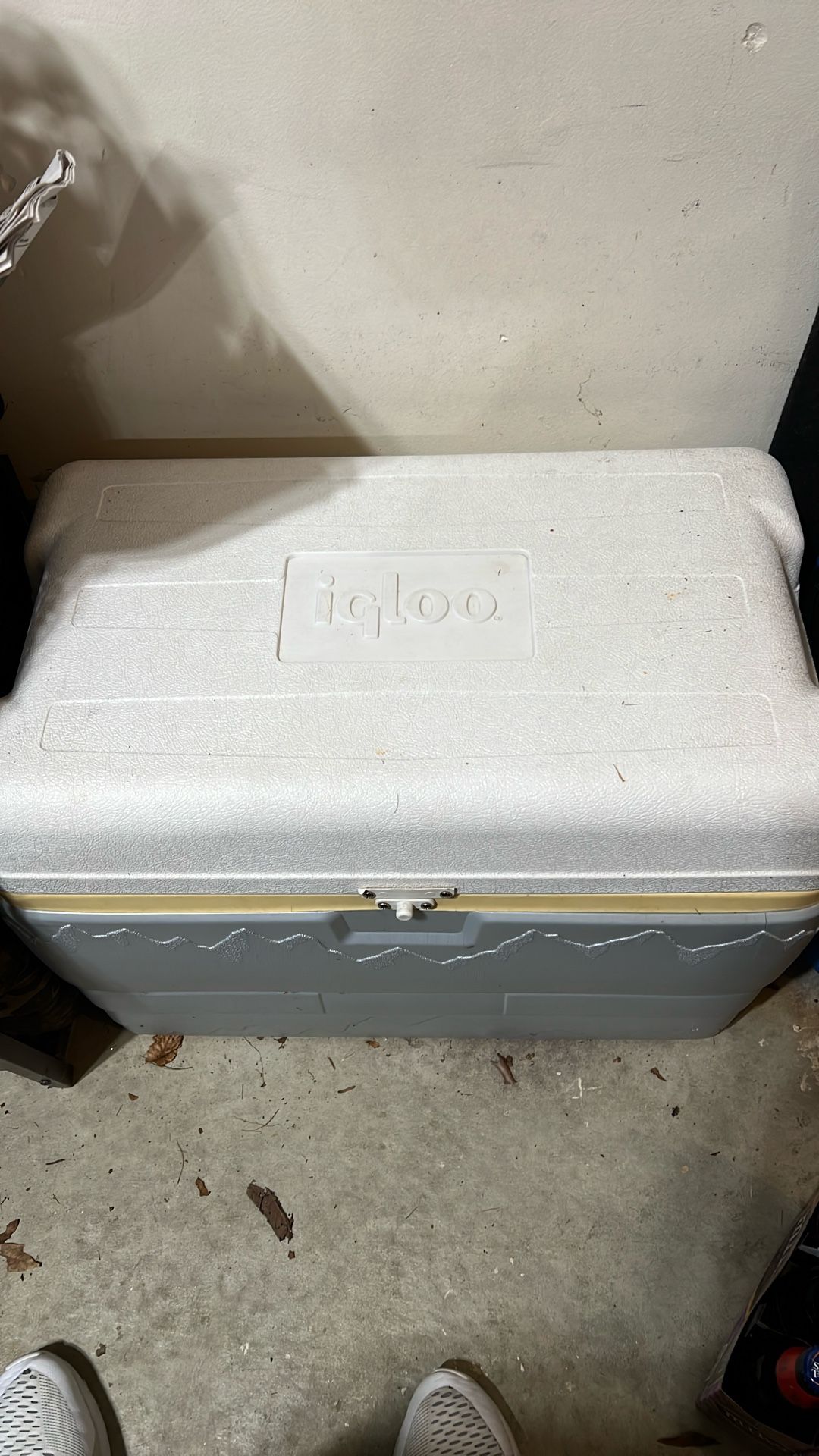 Igloo Cooler