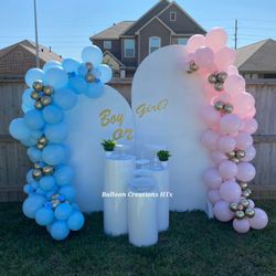 Balloons And Backdrop For Gender reveal