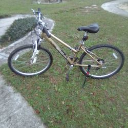 diamondback luster 2