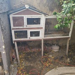 Habla por conejo