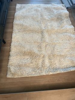 Free rug - like new