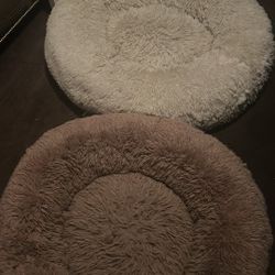 Cat Bed Or Dog Bed 