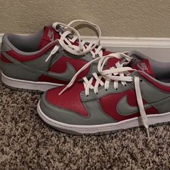 Nike Dunks Men’s 8.5