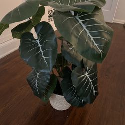 Fake Plant for Decor