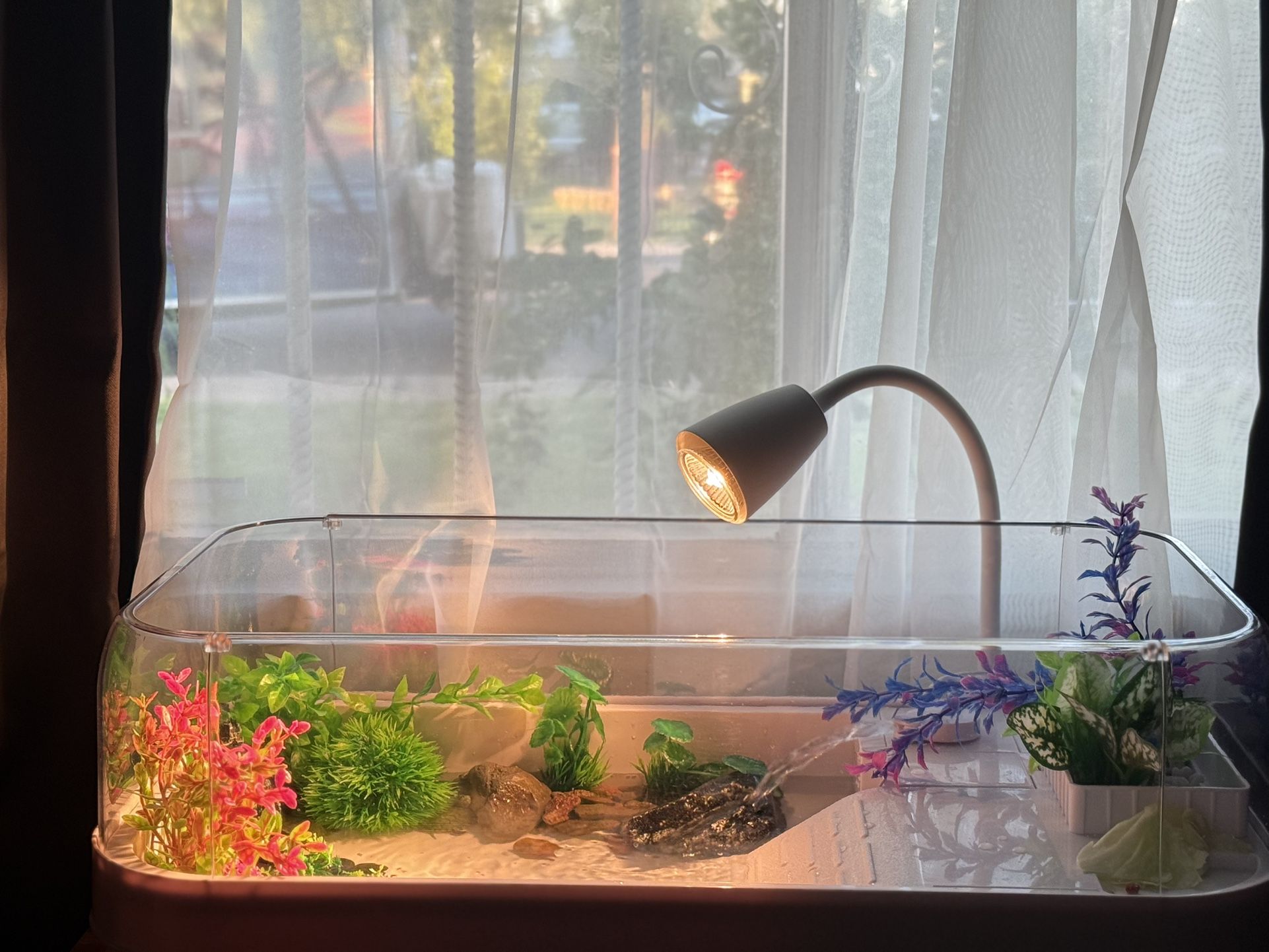 Large turtle enclosure