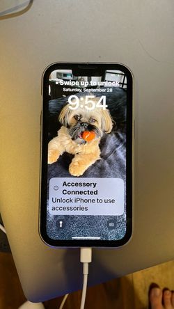 Apple iPhone 13 ICLOUD LOCKED