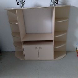 Book Or TV Shelf