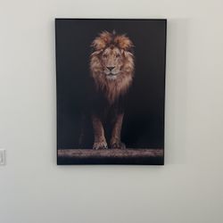 Lion Canvas Painting