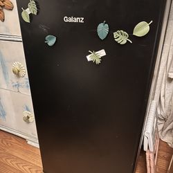 Galanz microwave and Fridge $80 Obo