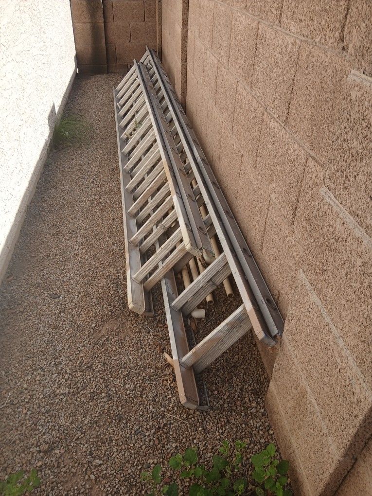 Extinction Ladders