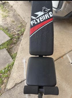 Flybird gym .!