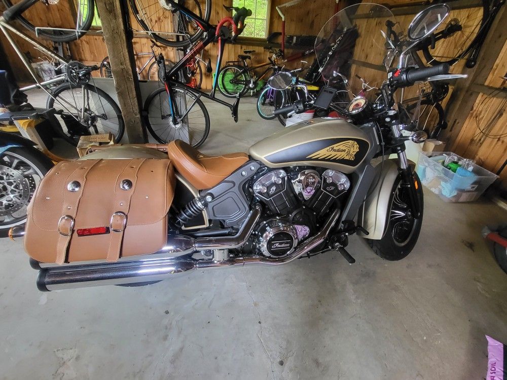 2019 Indian Scout