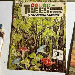 Color In Trees, Shrubs, Weeds