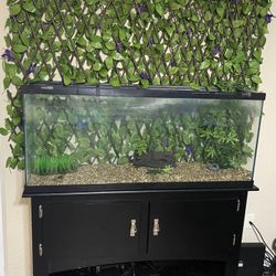 Fish tank
