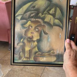 Cute Dog In The Rain  Wall Picture. 