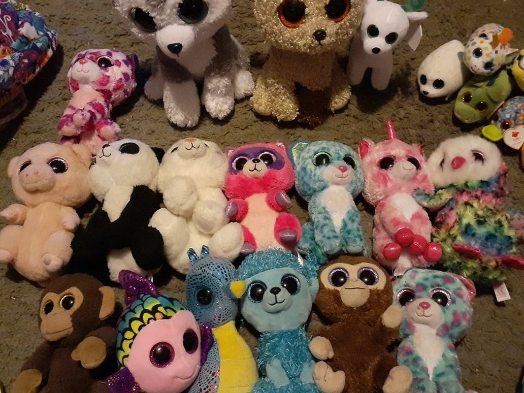 Beanie Boo's Ty Plushies Lot