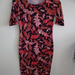 LuLaRoe Stretchy Dress 