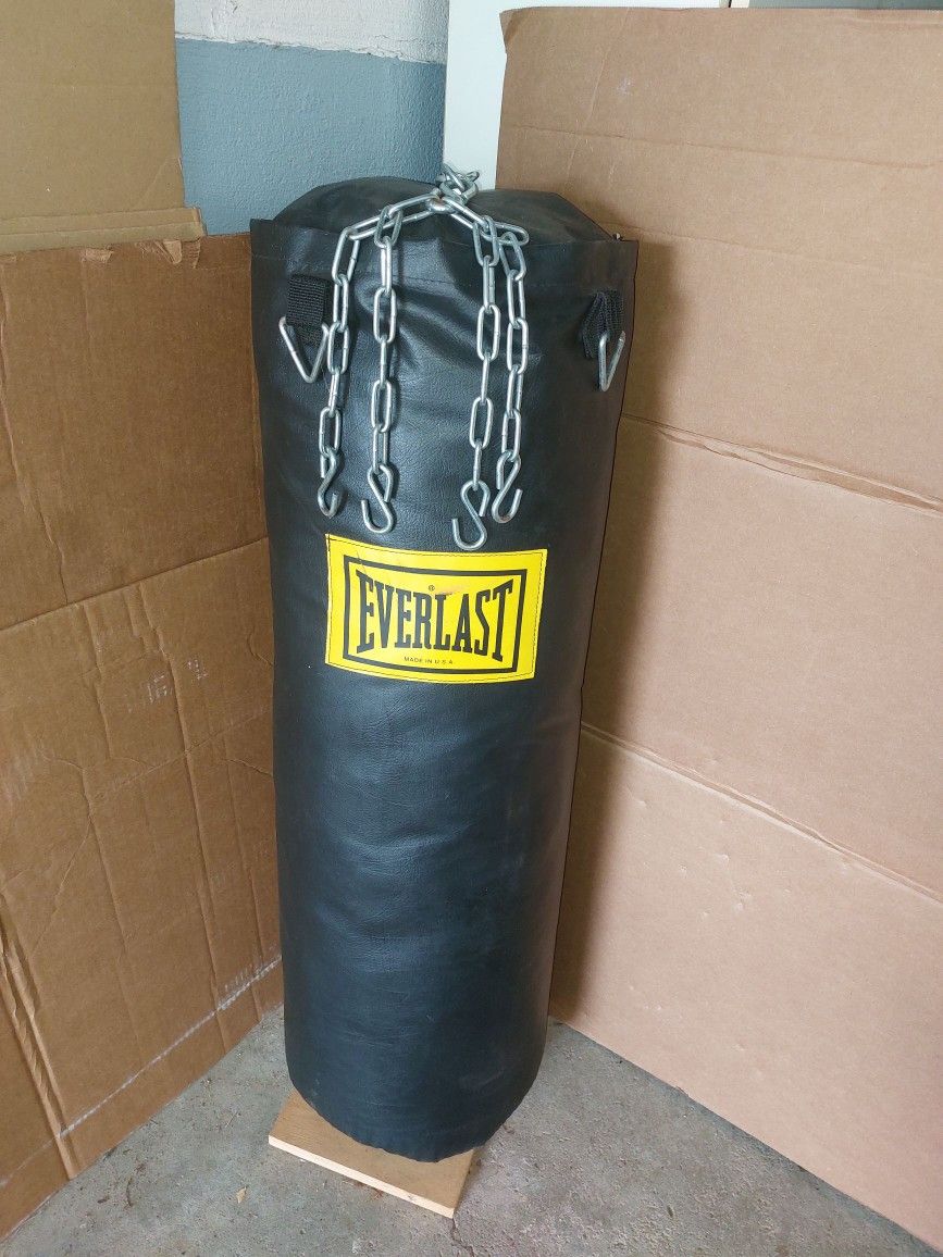 Everlast Heavy Bag / Punching Bag