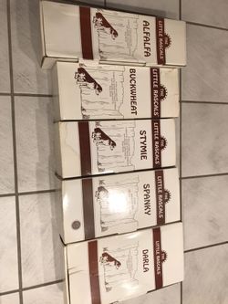 Set of 5 Little Rascals, Spanky, Alfalfa, buckwheat, Dolly, stymie