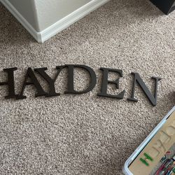 HAYDEN letters