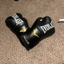 Black 16oz Everlast boxing gloves