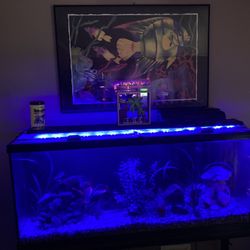 Fish Tank 55gallon