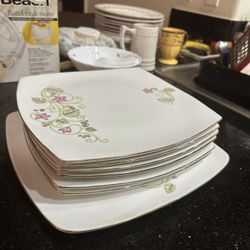Dinner Plates