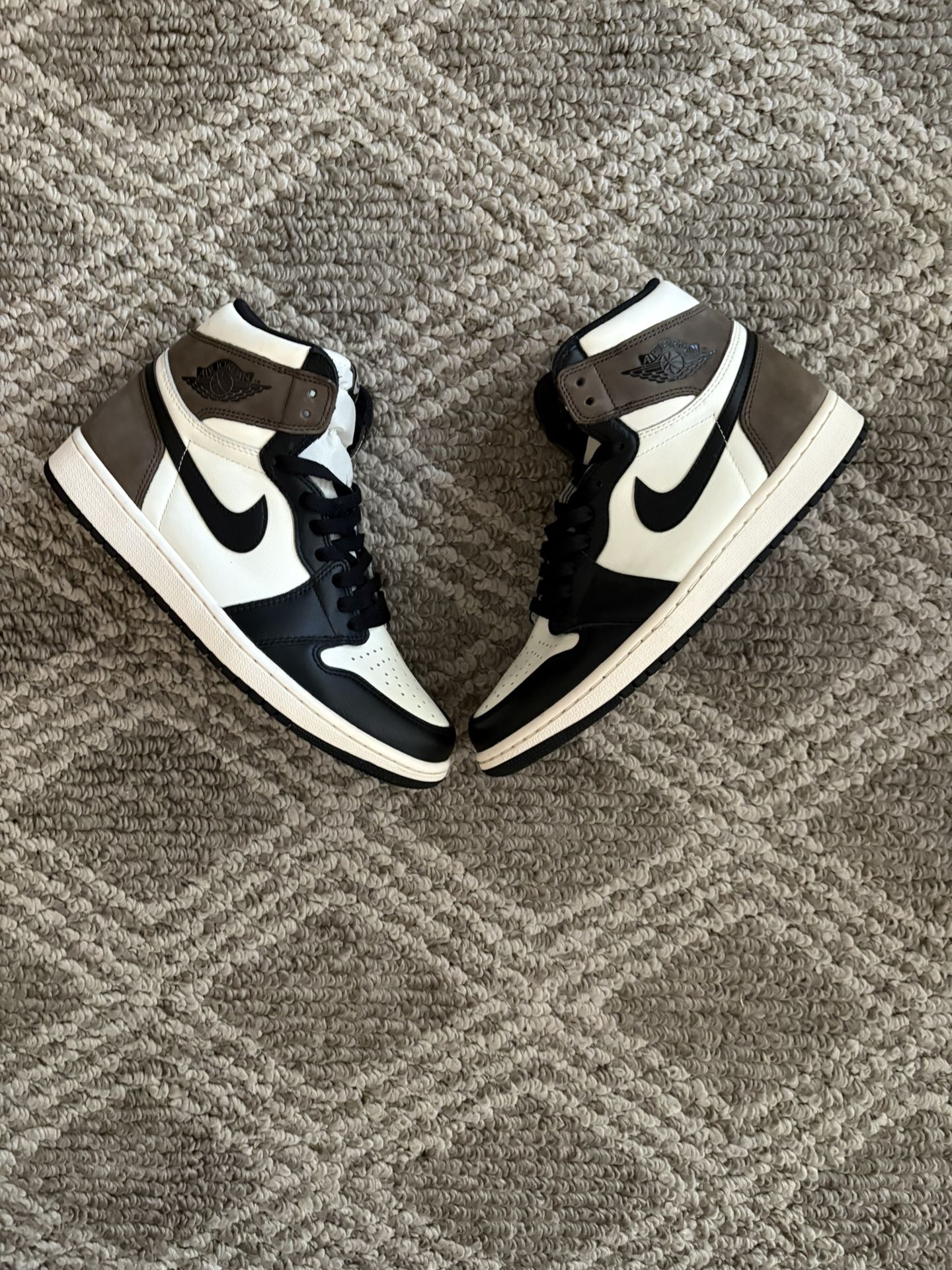 Jordan 1 “Mocha”