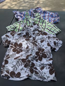 2T collared T shirts