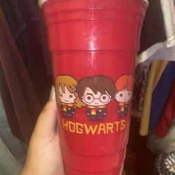 Harry Potter Tumbler And Glass Mug