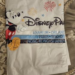 Disney Poncho
