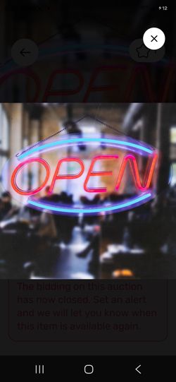 Neon OPEN Sign with Oval Frame