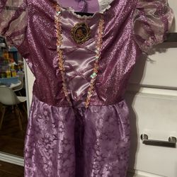 Rapunzel Dress Up Costume