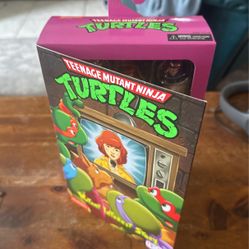Neca Tmnt 