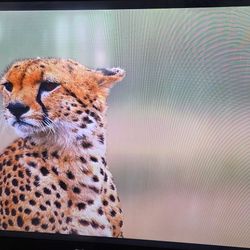 46" SONY Bravia HD 1080p Edge LED Backlit LCD TV Television