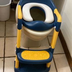 Toddler, toilet training seat, and step ladder