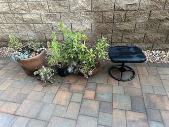 FREE ITEMS must pick up now