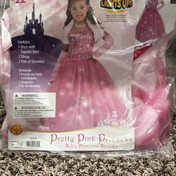 Princess Halloween Costume ( Size 4-6)