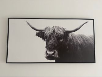 Highland Cow Framed Canvas
