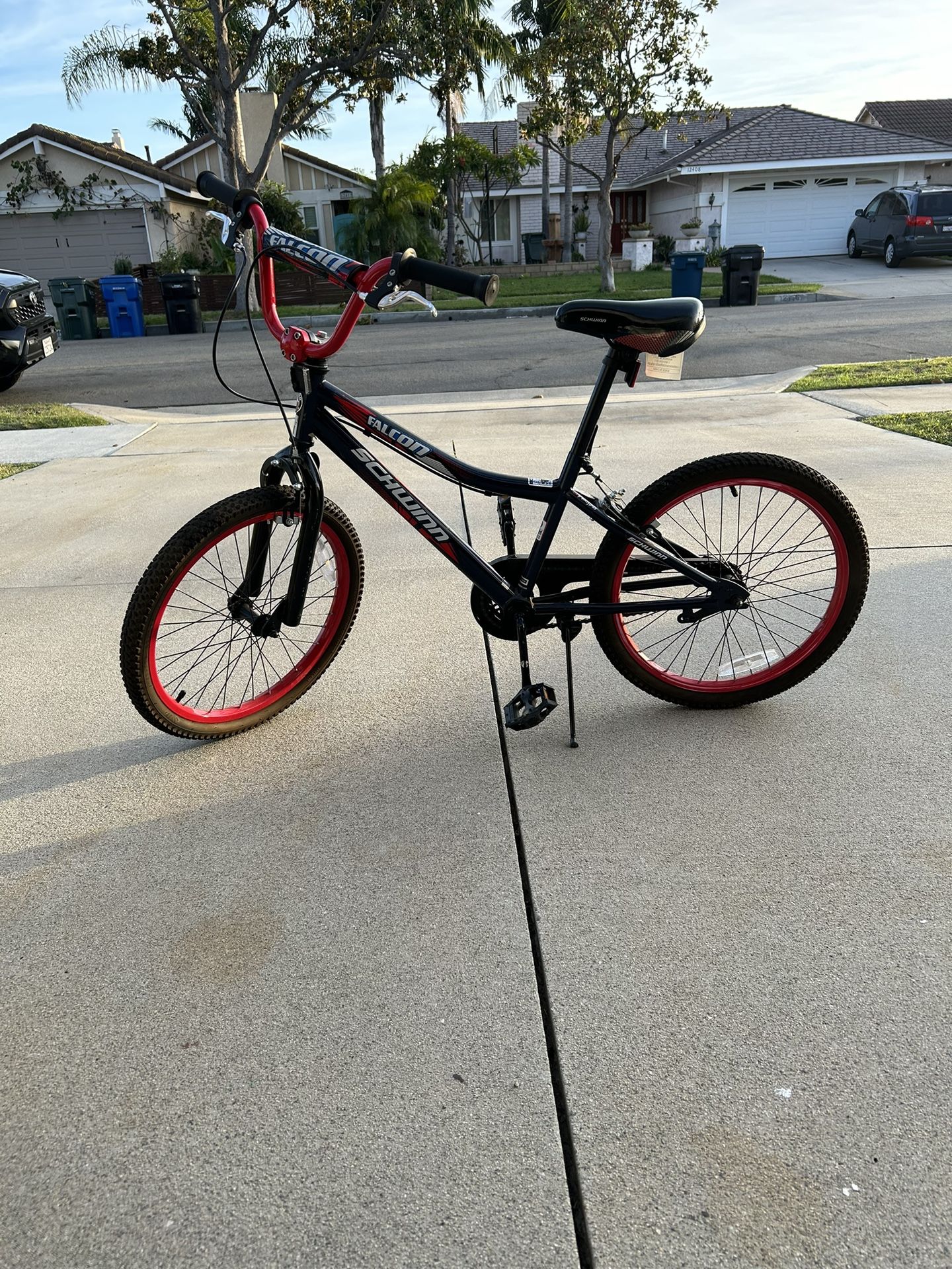 Schwinn Falcon 20” Bike