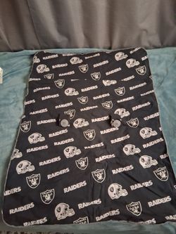 Raiders Baby Carrier Cover