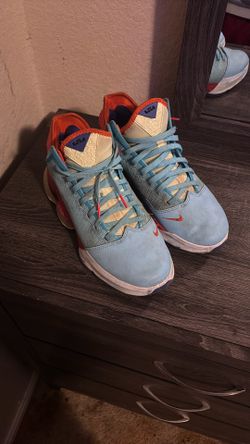 Nike Lebrons hoop shoes size 9.5 (has signature)