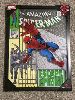 The amazing Spider-Man poster