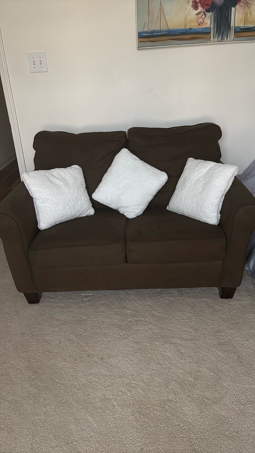 Loveseat/Sofa Sleeper
